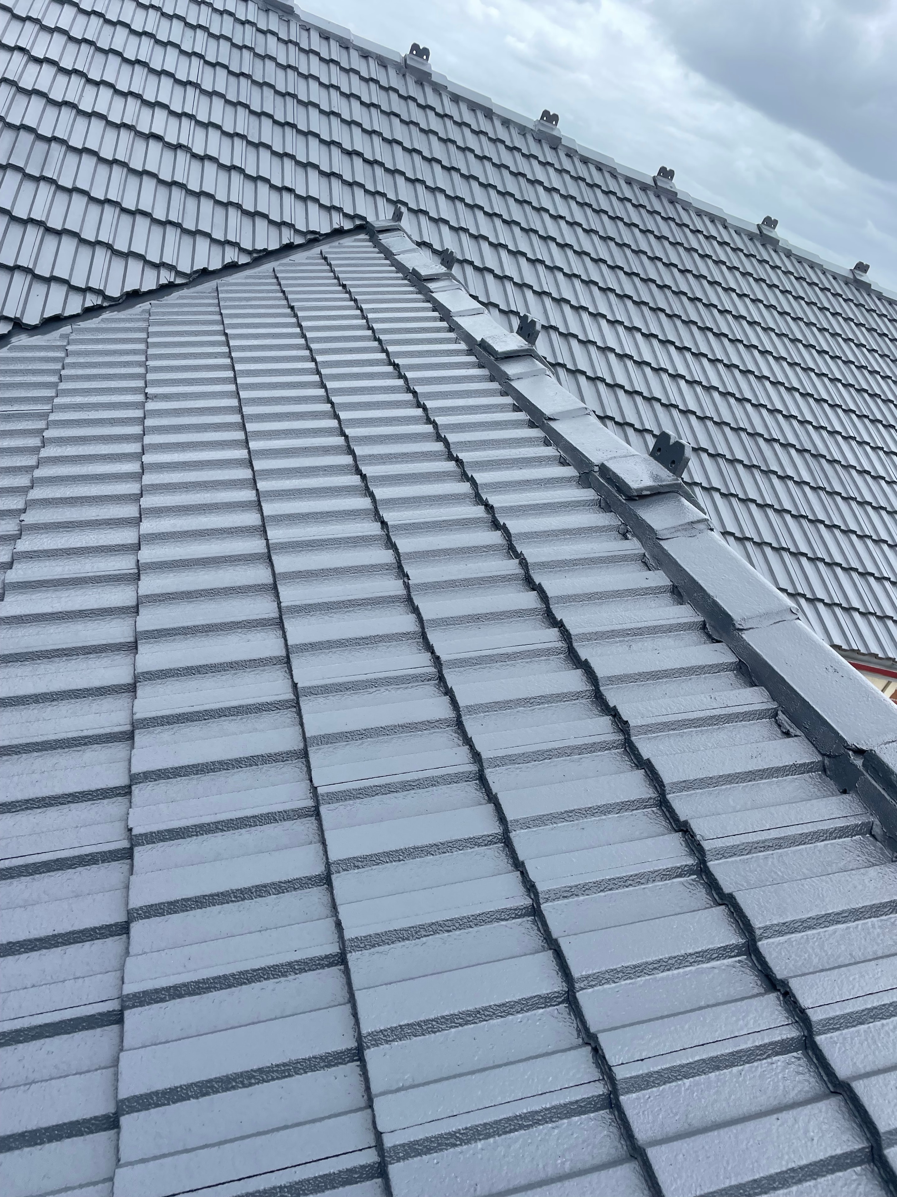 Roof Restoration — WRECK&RENO