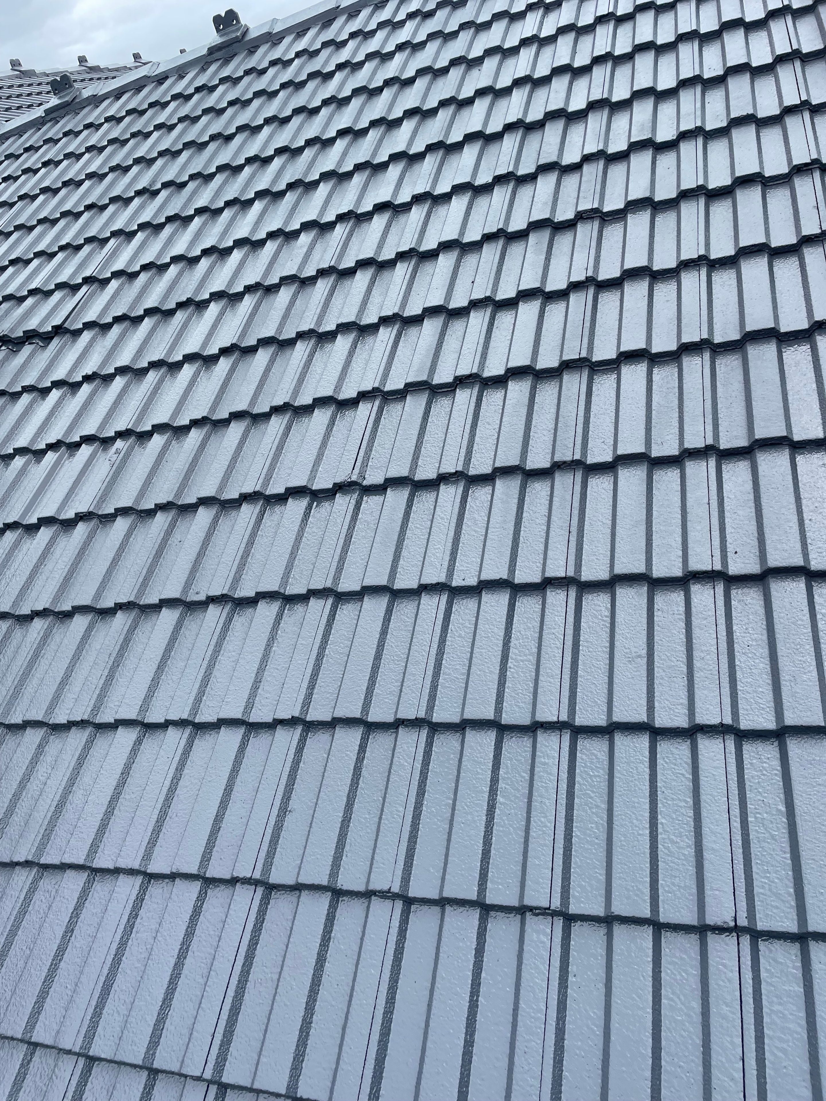 Roof Restoration — WRECK&RENO