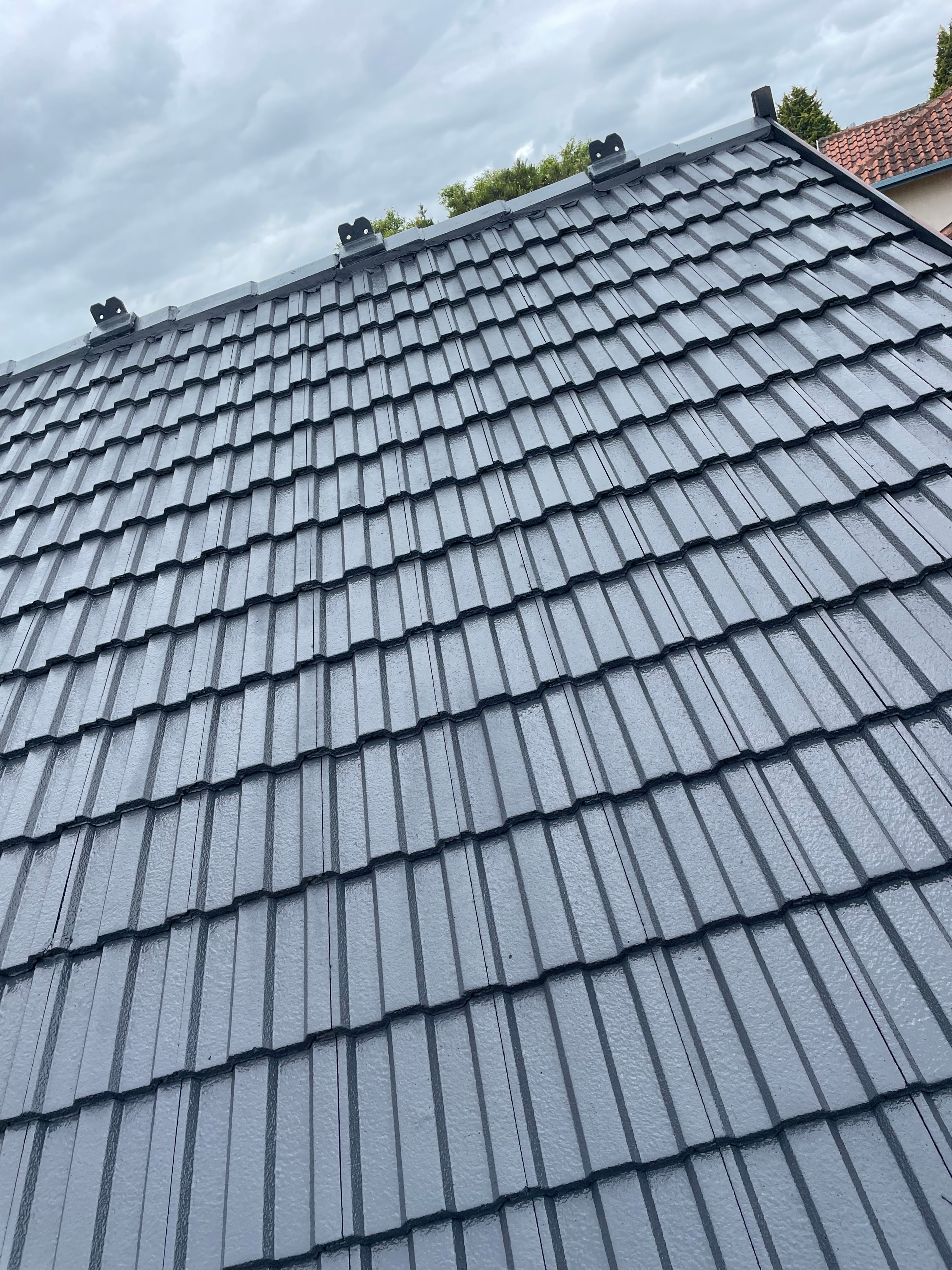 Roof Restoration — WRECK&RENO